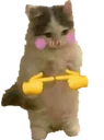 timidodo