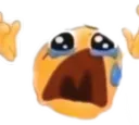 gocryaboutit