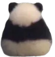 ignore