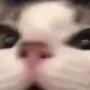 helu helu