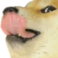 lick lick