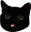 mlem mlem
