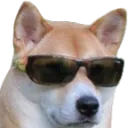swag swag