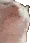 catjam catjam