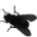 realfly