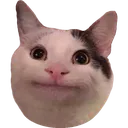 atx_CatBruh Discord Emoji