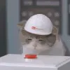 Cat_Nuke_Button