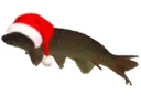 christmasfishe