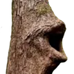 LOGGERS LOGGERS