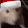 ratJAM