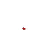 Z_YHeart_16