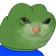 feelsmadmeow