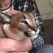 floppapet1
