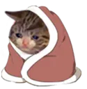 cozysad Discord Emoji