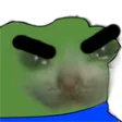 AngryPeepoCat
