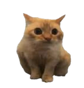 ch_spoingus Discord emoji