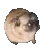 doge