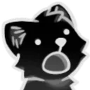 nfir_oh