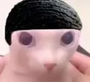 bingus