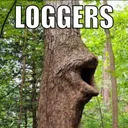 loggers