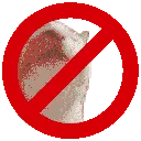novibe