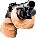 shotgunaim