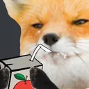 fox_sip