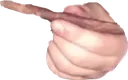 quieres