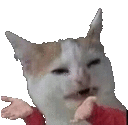 cathuh Discord emoji