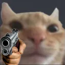 swaggun swaggun