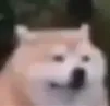 wao