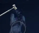 scoutbonk