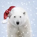 ChristmasBear
