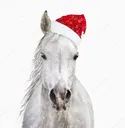ChristmasHorse