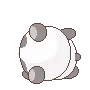 z_pandarolypoly