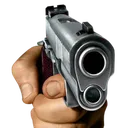gun