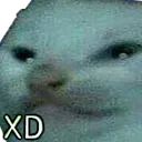 xdcat