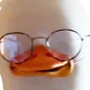 teamAbbieGoose