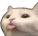 Bleh