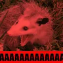 aaaaaaa