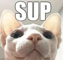 sup