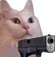 CatGun