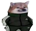 russiandog
