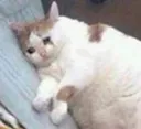 sad Discord Emoji