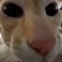 thisoldbitch