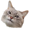 hehe