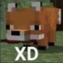 2_1_XD