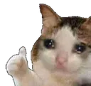 Cat Thumbsup cat_thumbsup Discord Emoji