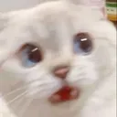 shocked shocked