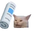 BonkCat
